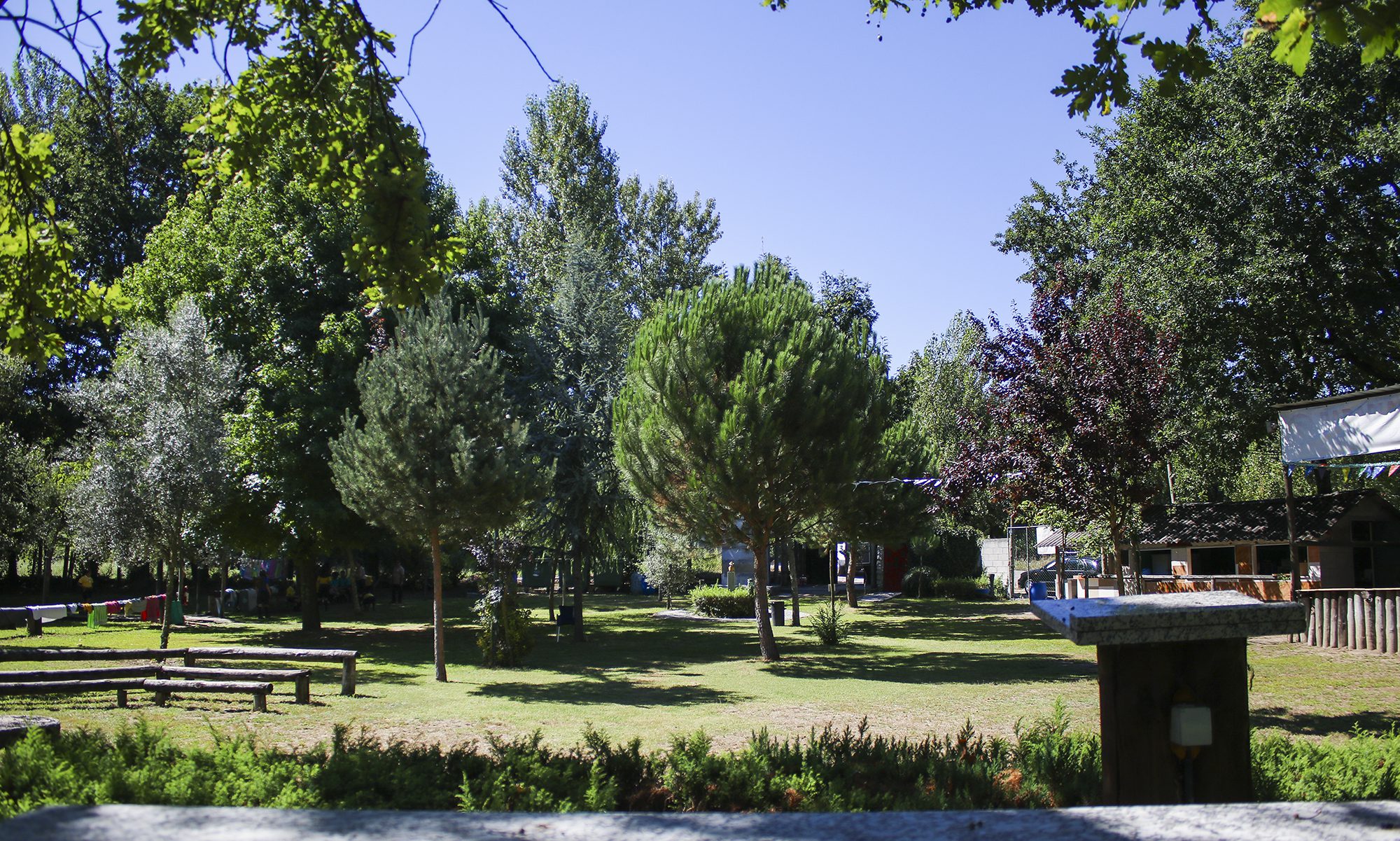 Campo de Atividades Escutistas